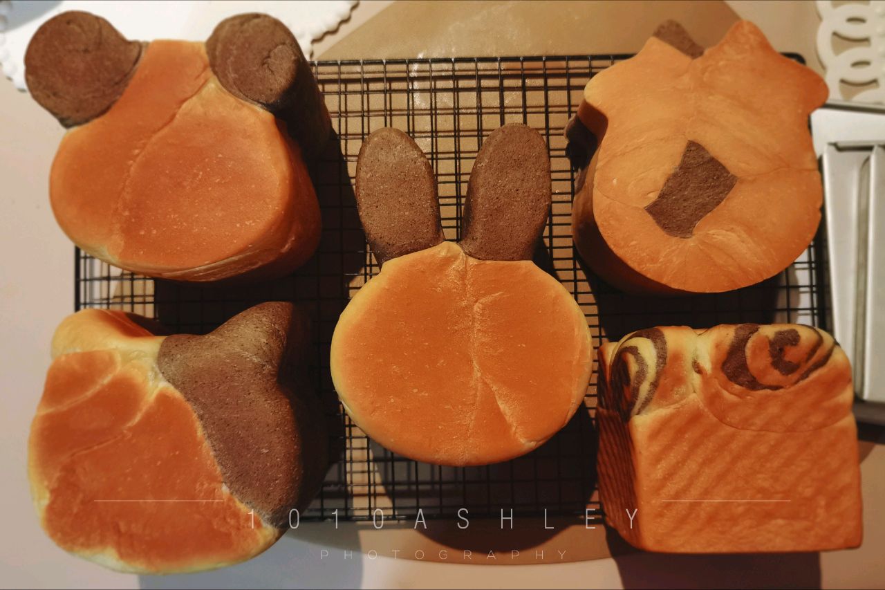 三能动物吐司合集