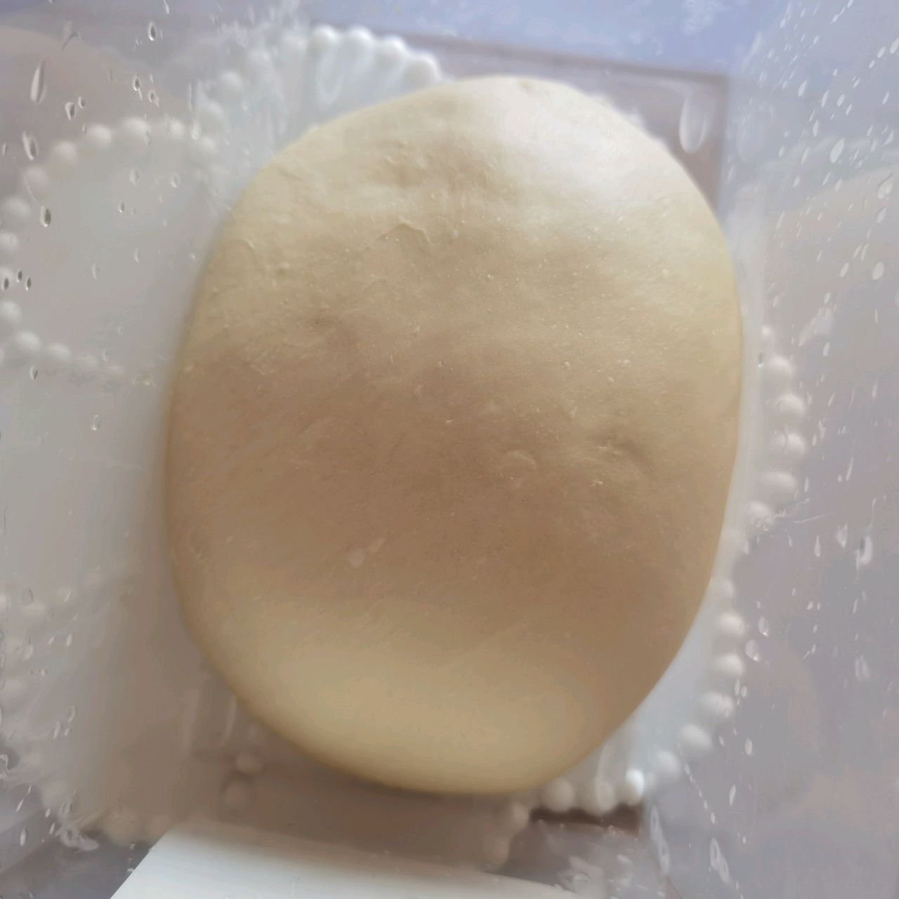 三能动物吐司合集