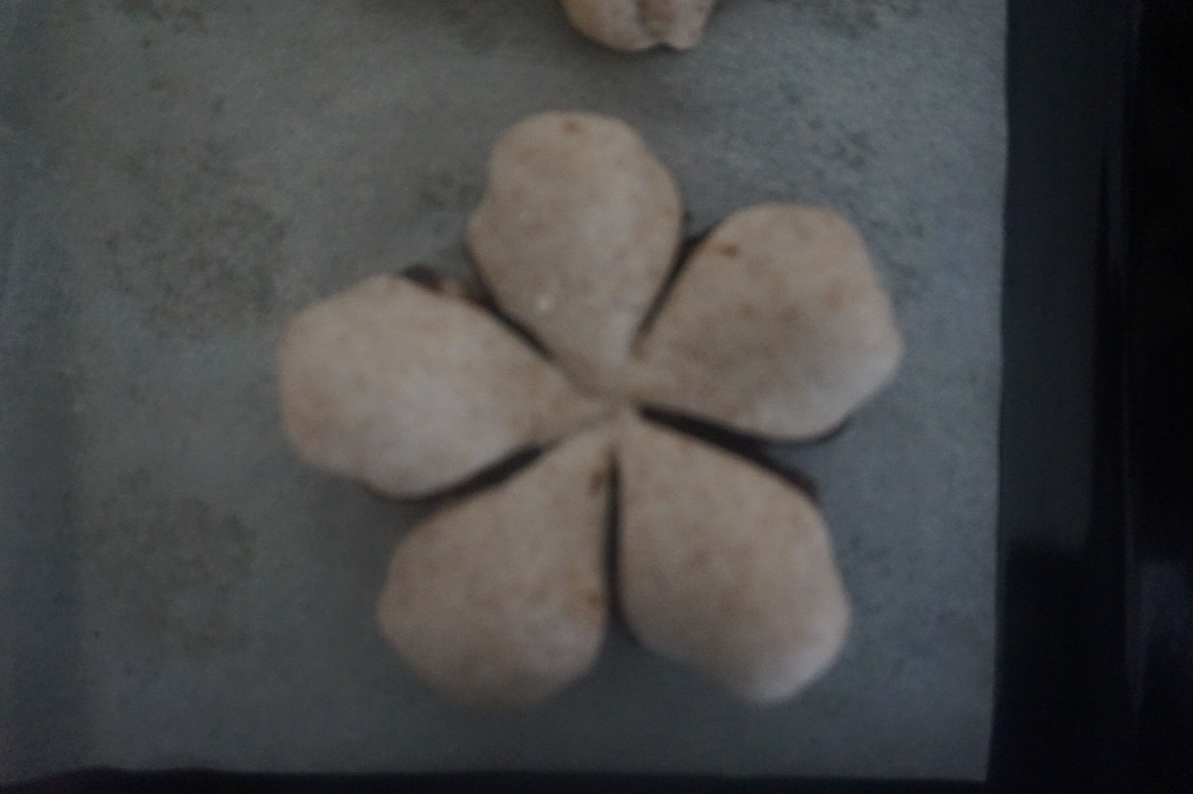 三生三世十里桃花——全麦桃花饼