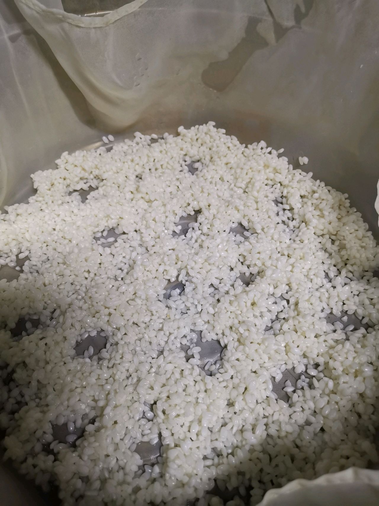 五福百（白）财（菜）包