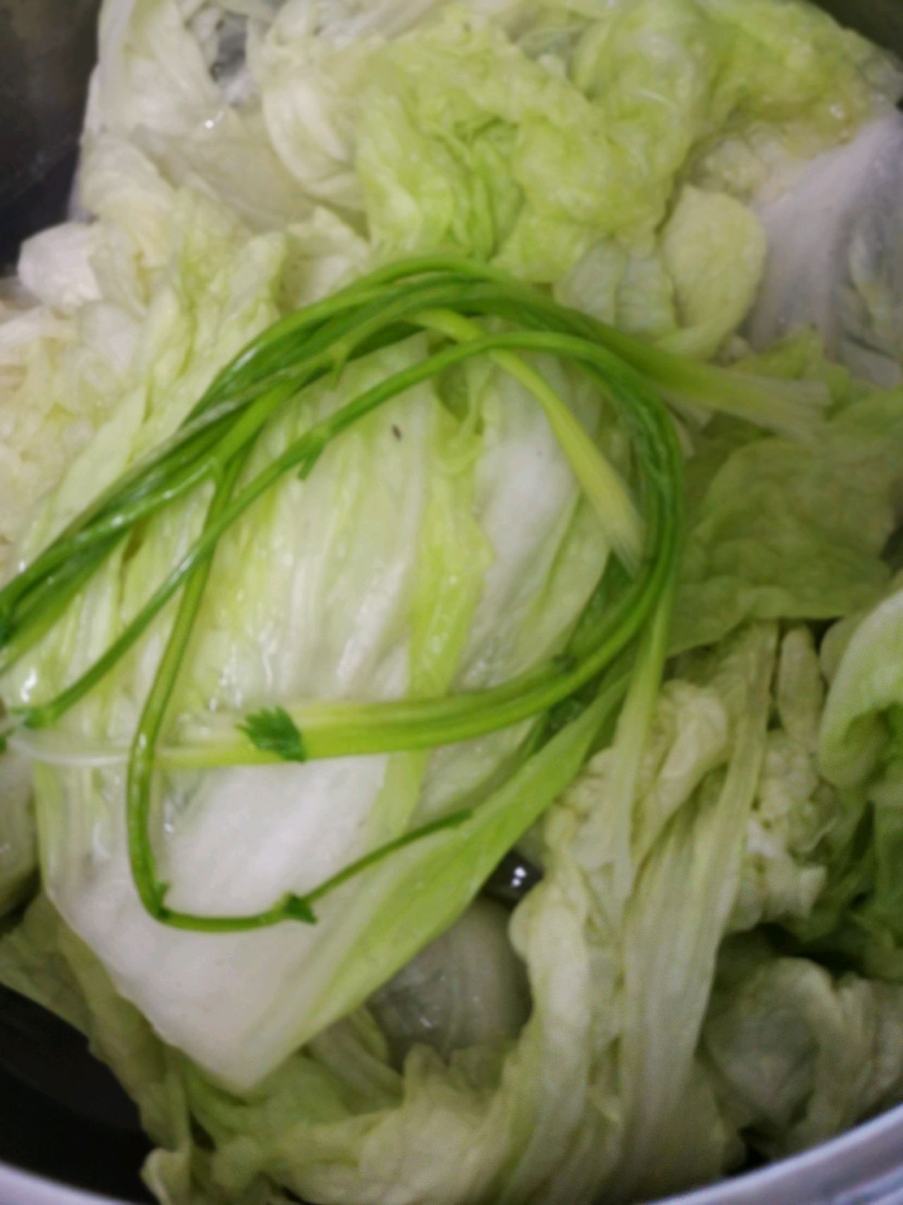 五福百（白）财（菜）包