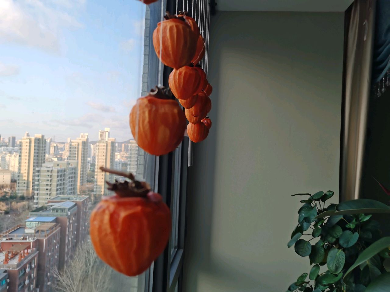 AAAAA特级❤️溏心吊柿饼