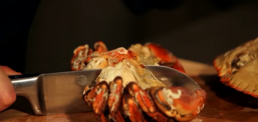 爱尔兰面包蟹：蟹粉豆腐