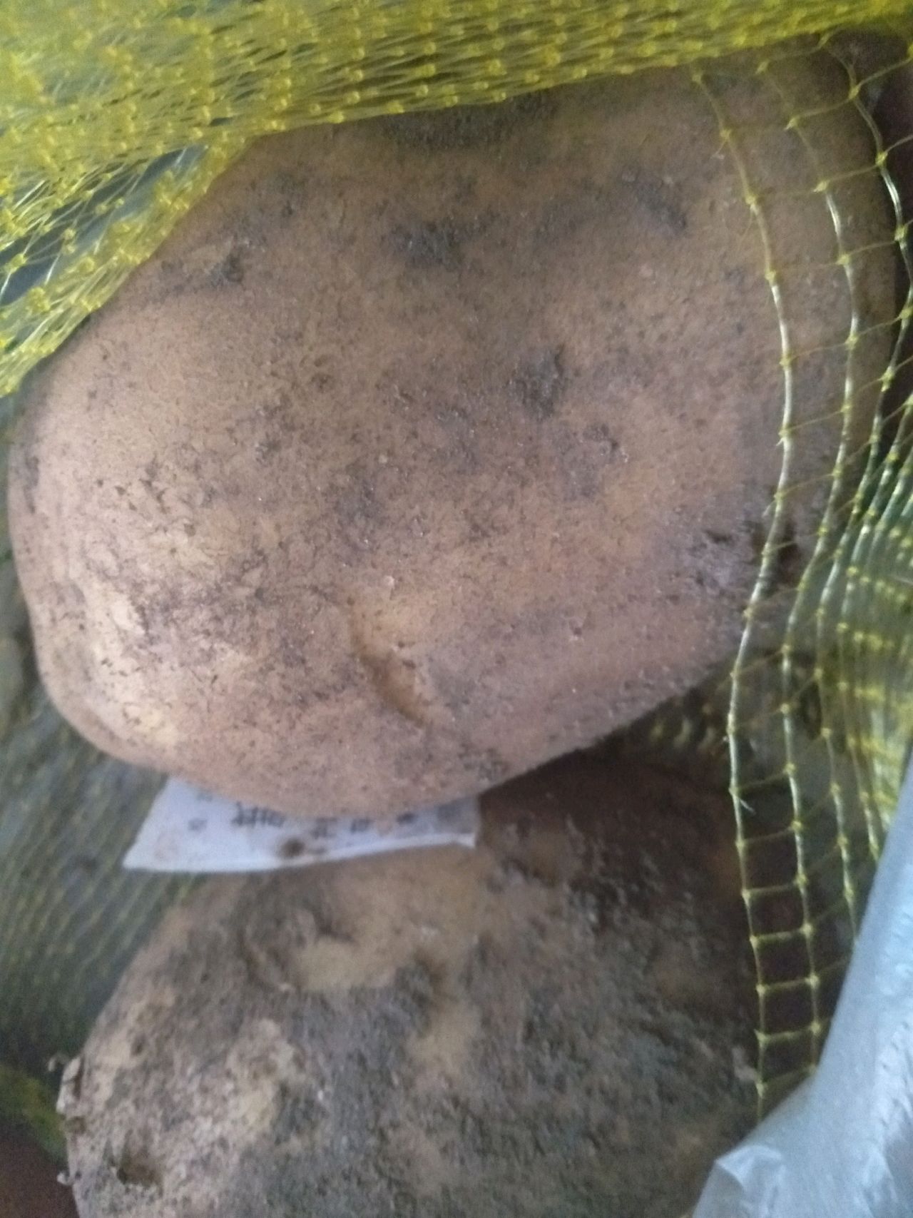 爱上土豆