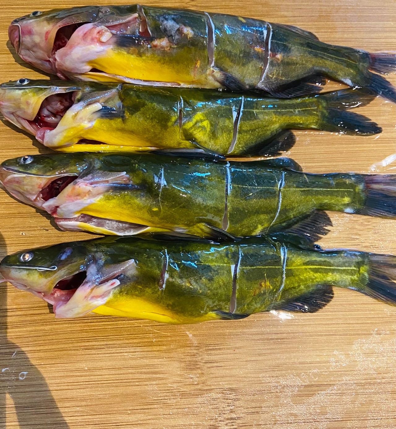 昂刺鱼豆腐汤
