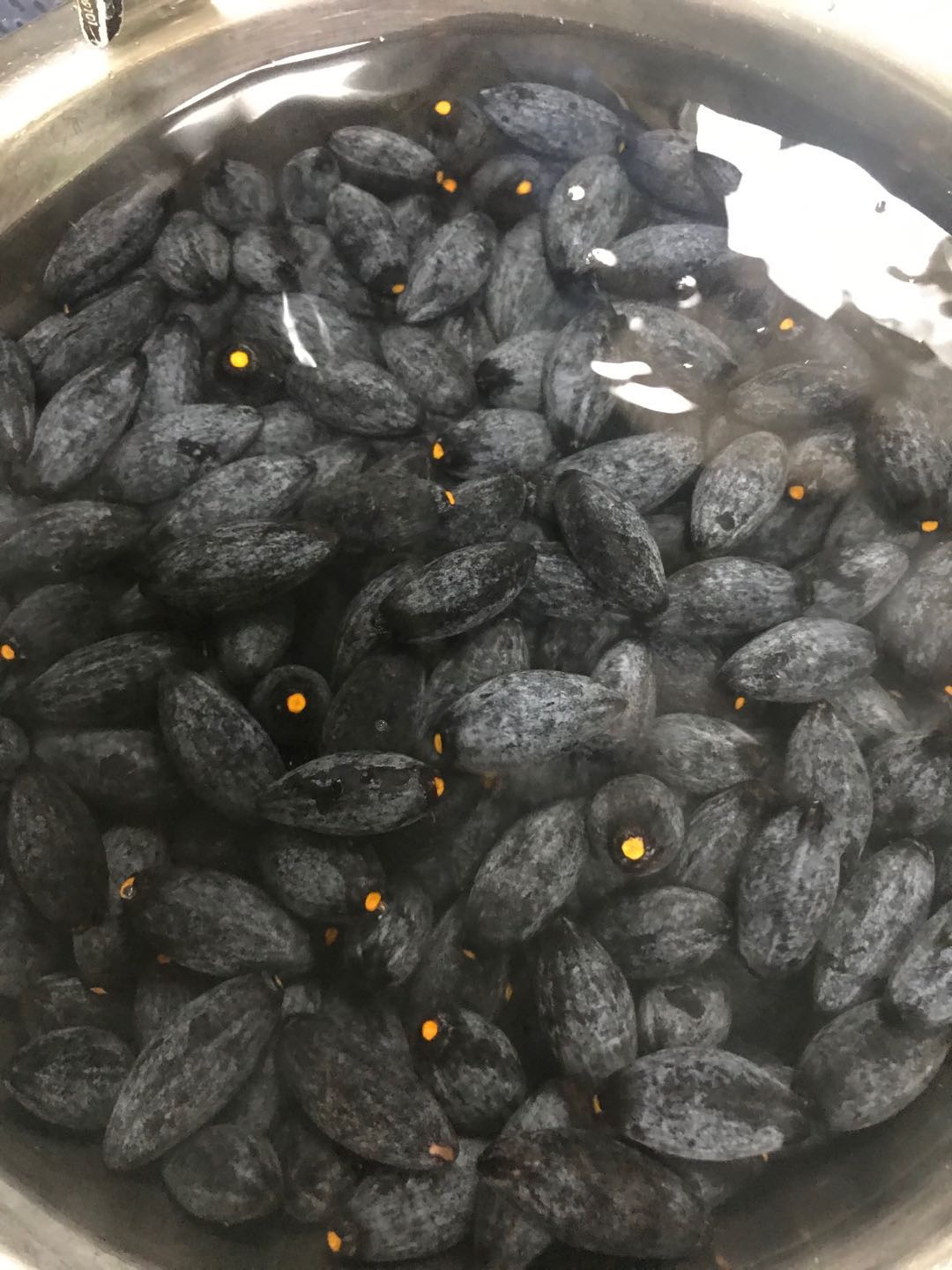 熬制潮汕特色的乌橄榄
