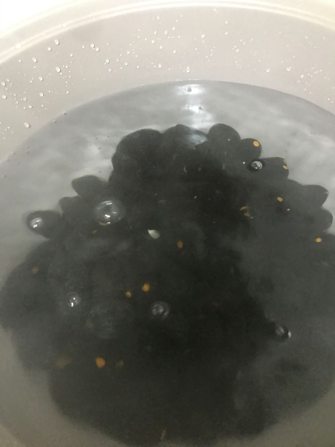熬制潮汕特色的乌橄榄