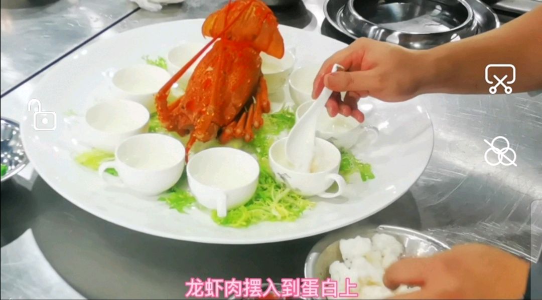 澳洲龙虾《白雪藏龙》
