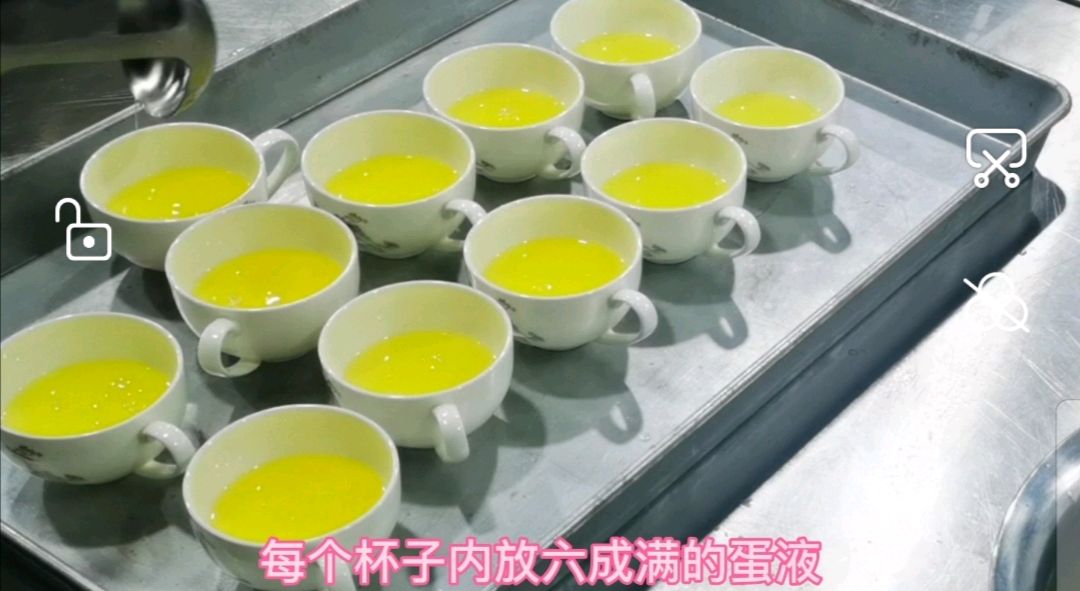 澳洲龙虾《白雪藏龙》