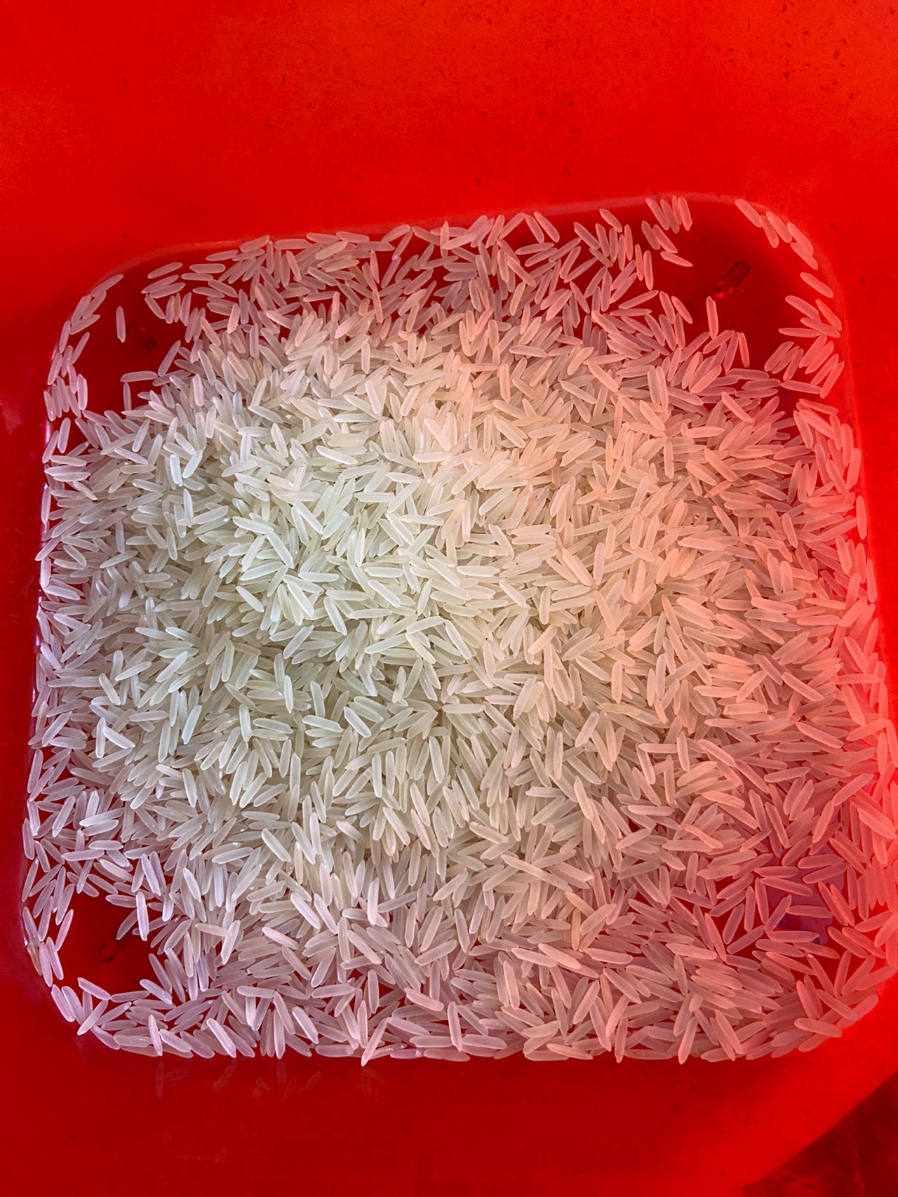 巴基斯坦手抓饭