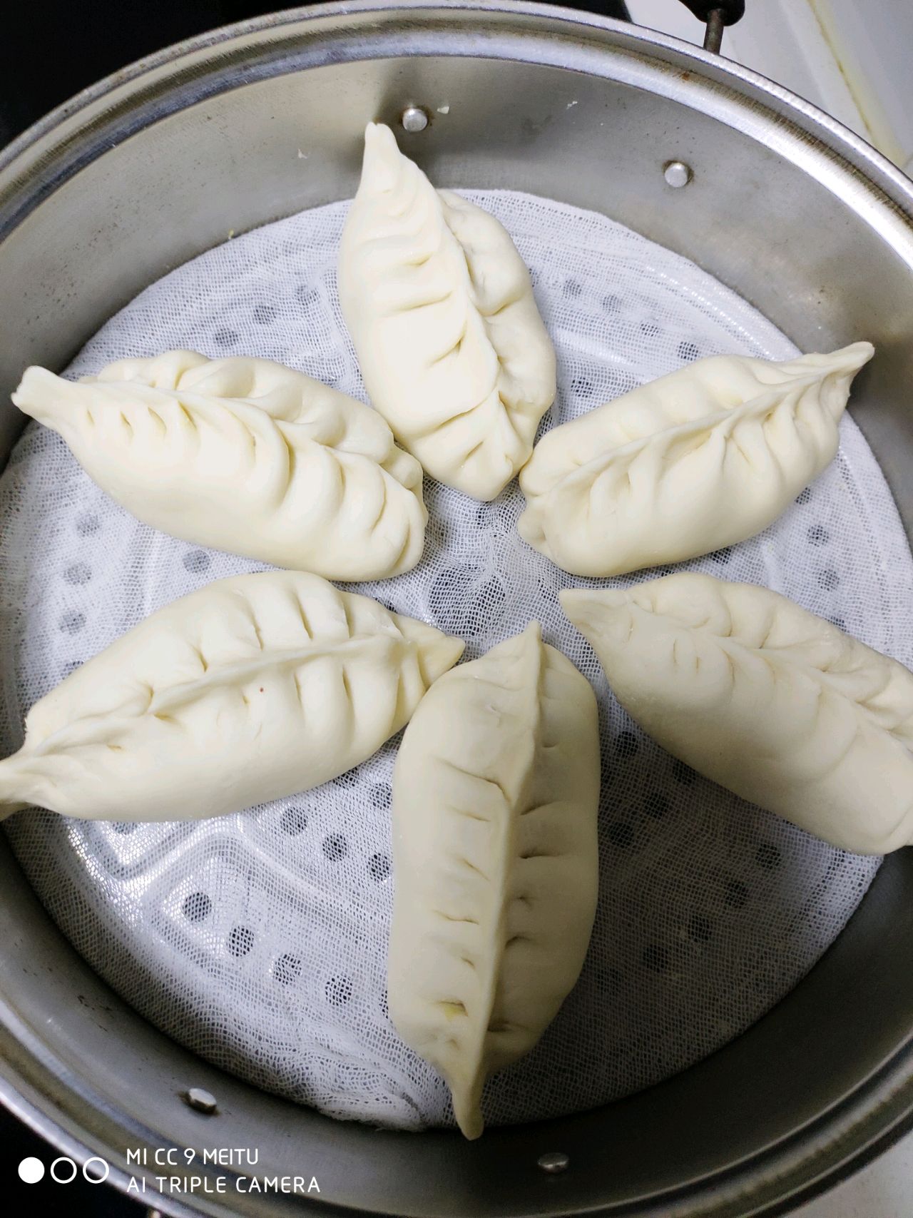 白菜豆腐蒸包