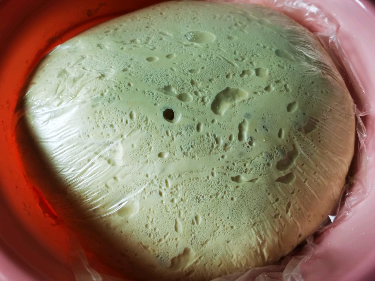 白菜粉丝包