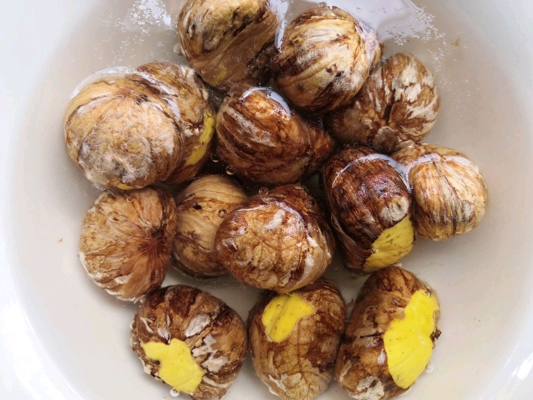 板栗蘑菇乌鸡汤