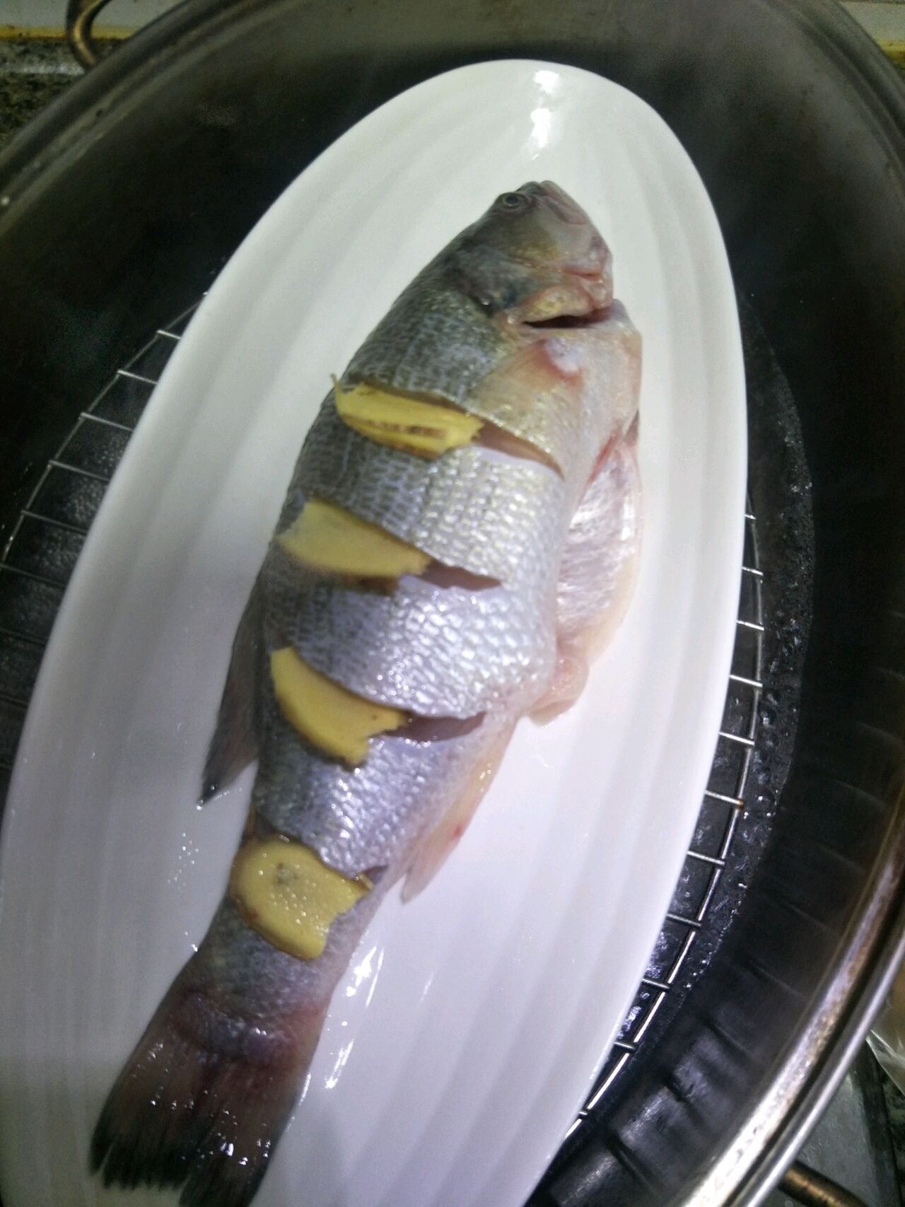 宝宝食谱——清蒸鲈鱼