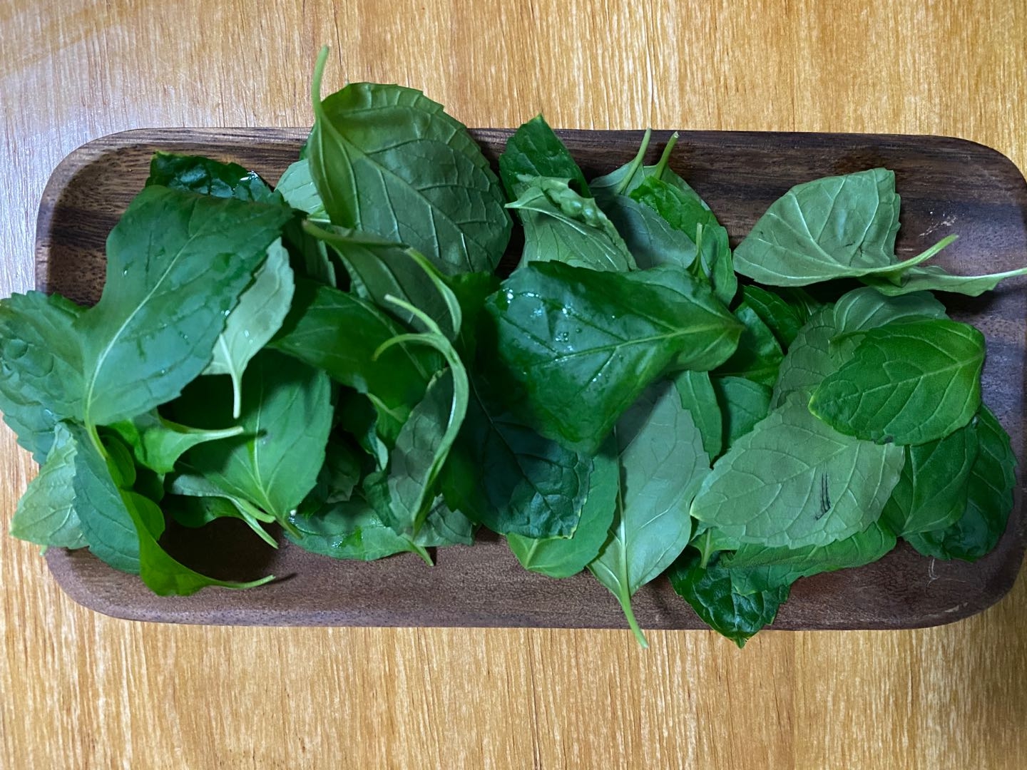 薄荷茶