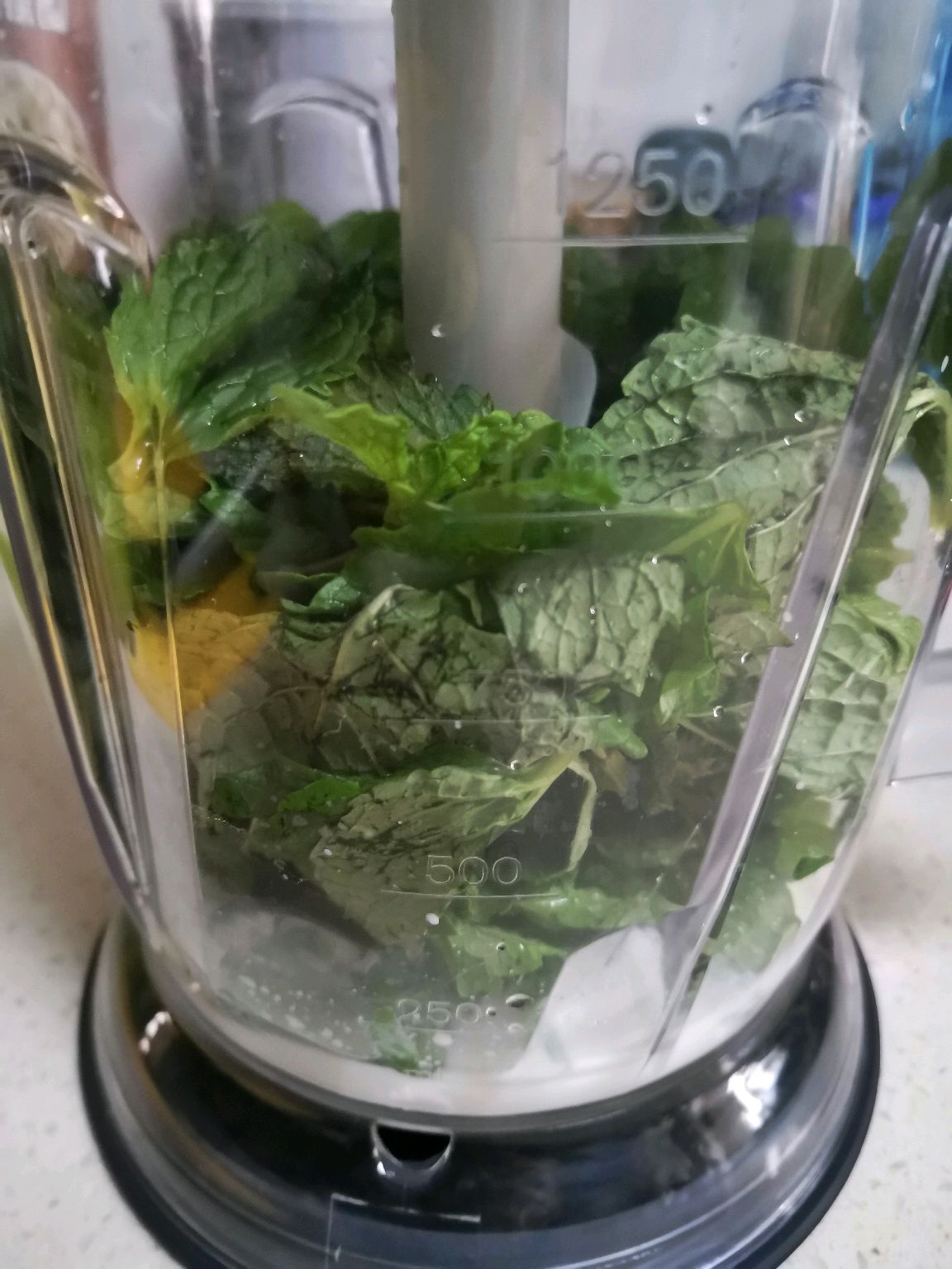 薄荷巧克力软冰淇淋
