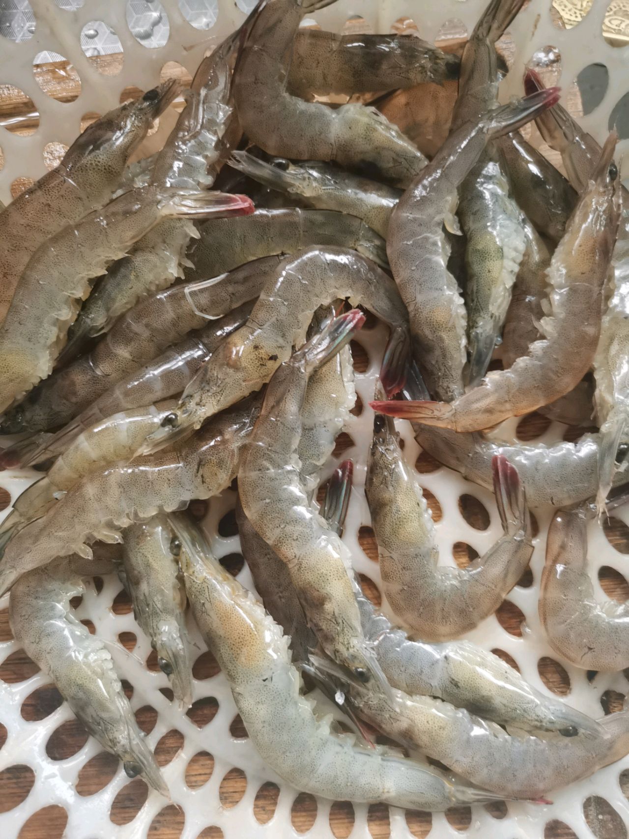 鲍汁蚝油炒鲜虾