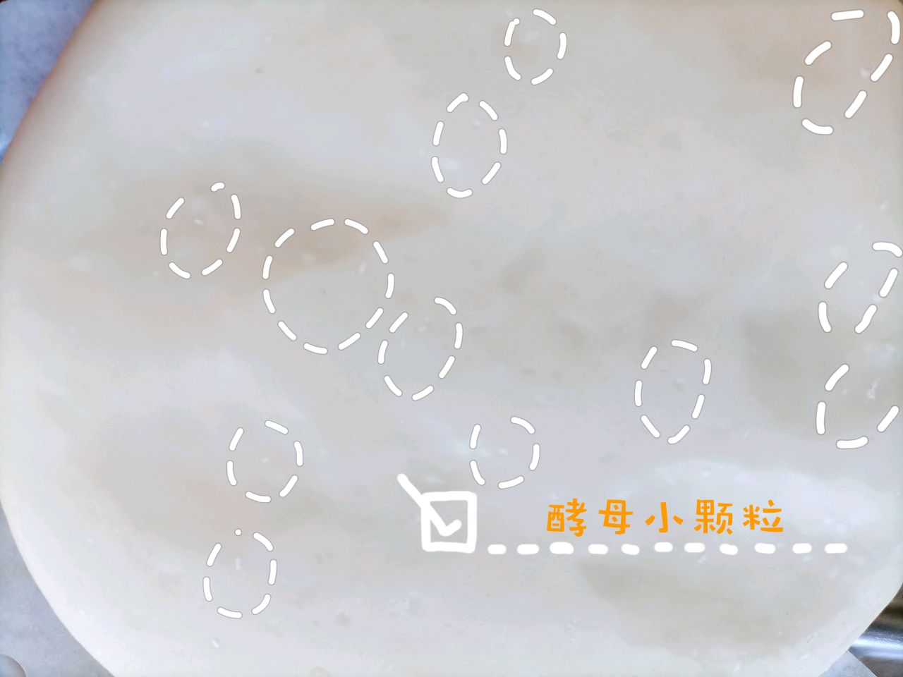 北方的馍太香了