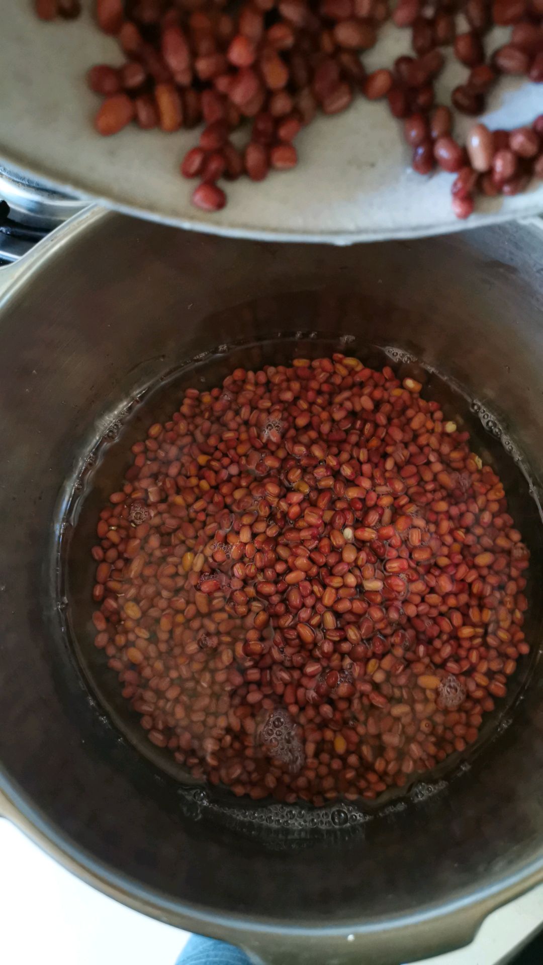 北方豆沙包