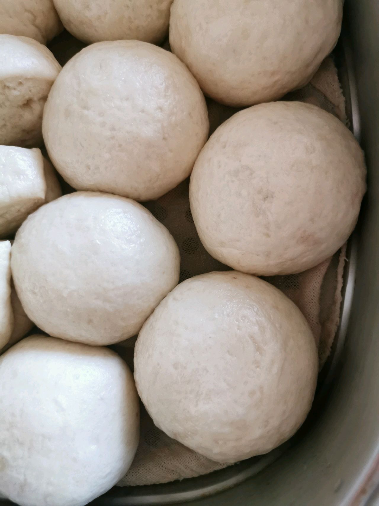 北方豆沙包
