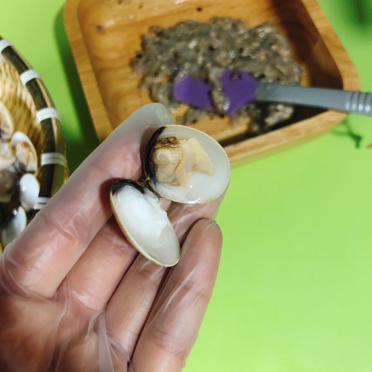 贝壳虾
