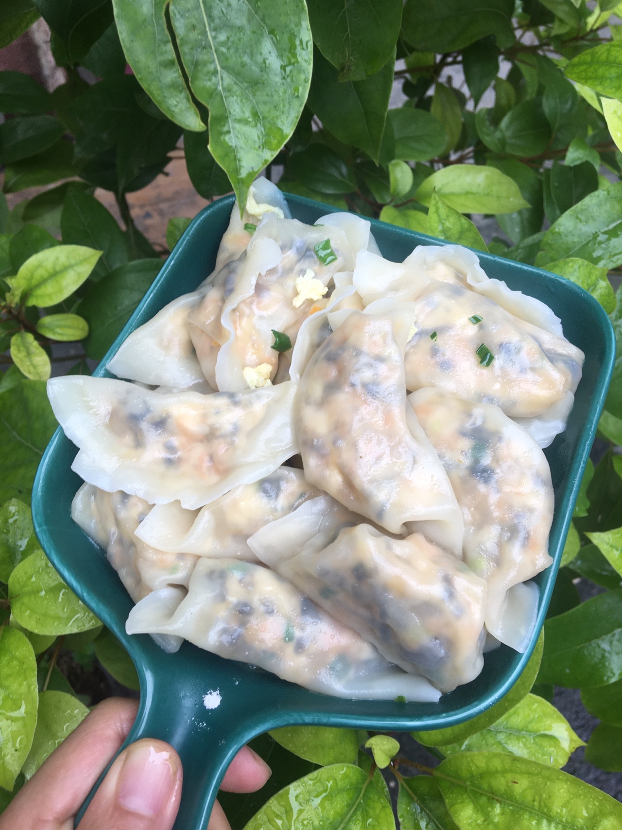 比肉饺子好吃的：素菜饺子