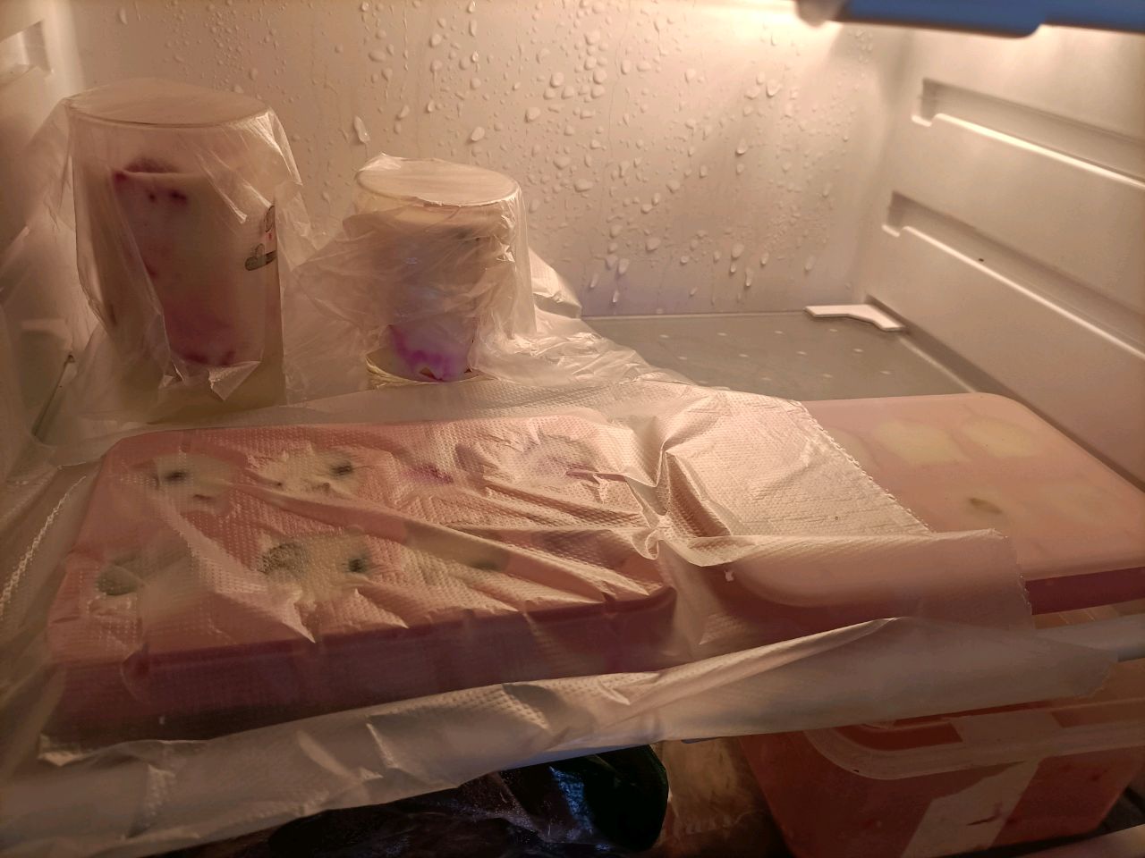 缤纷水果奶酪棒