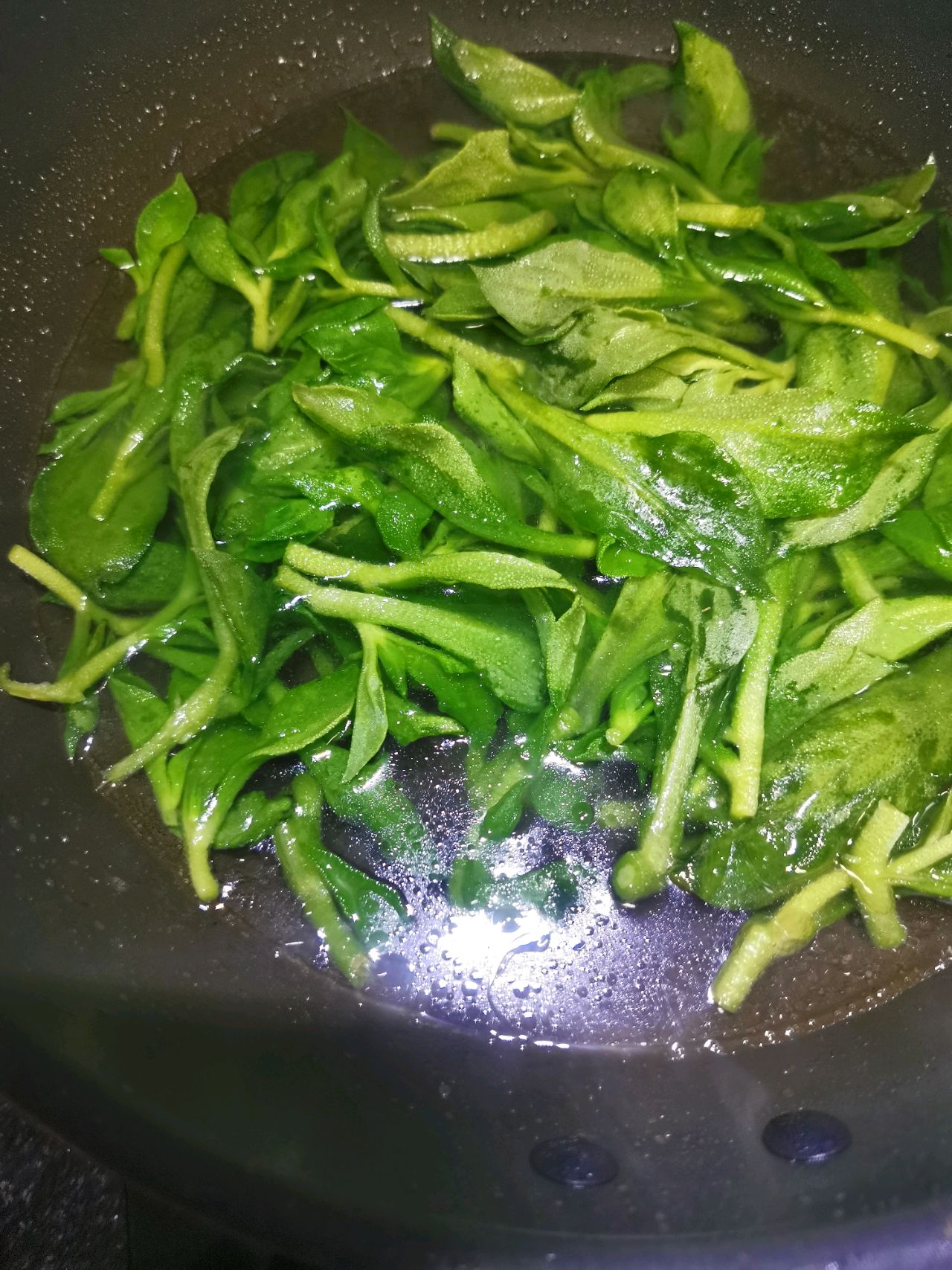 冰草