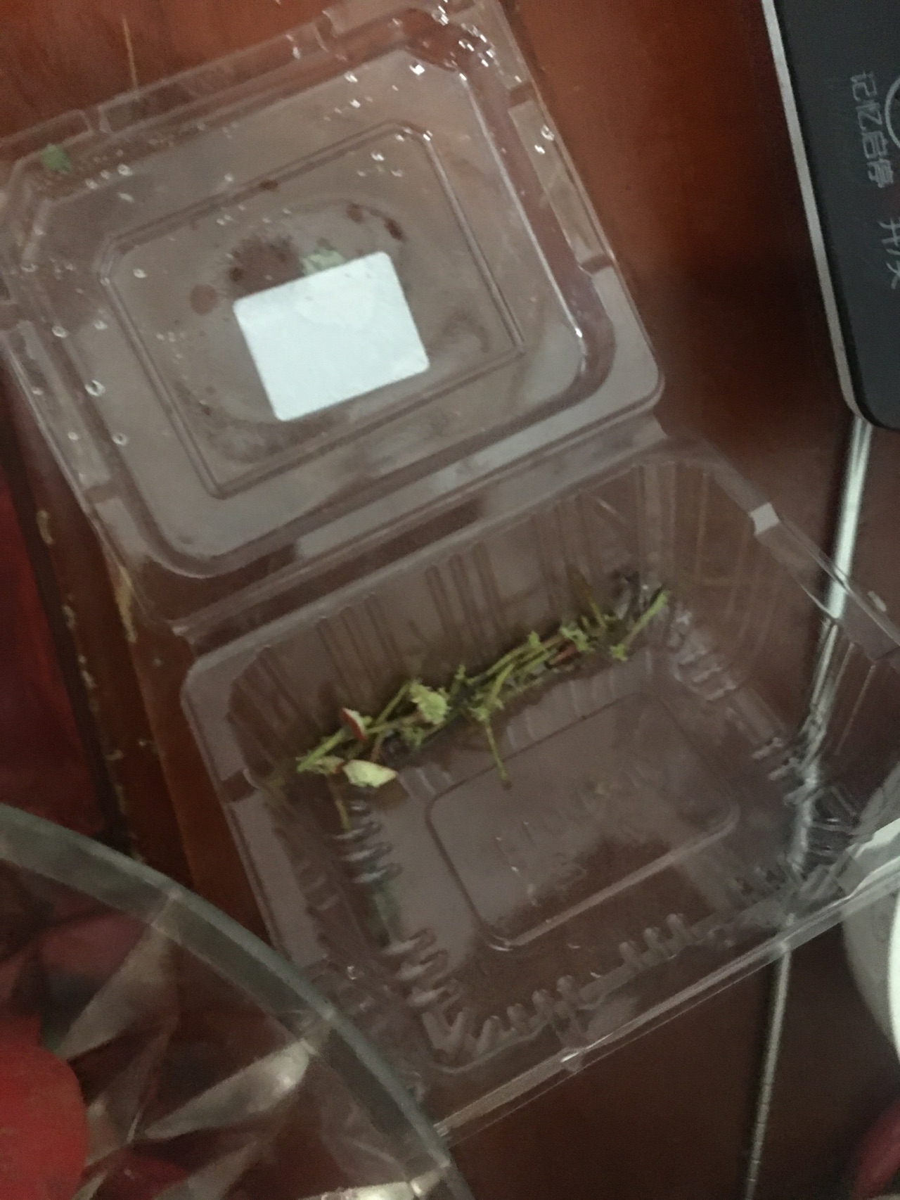 冰糖葫芦