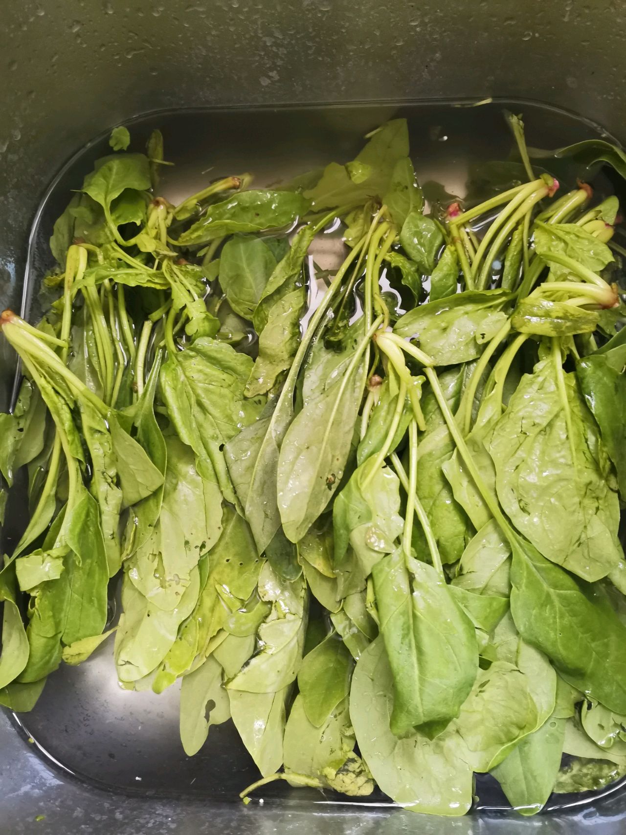 菠菜炒鸡蛋