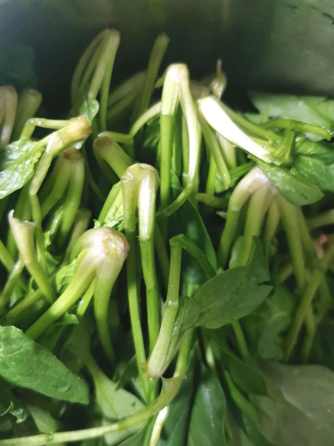 菠菜火腿果仁碎
