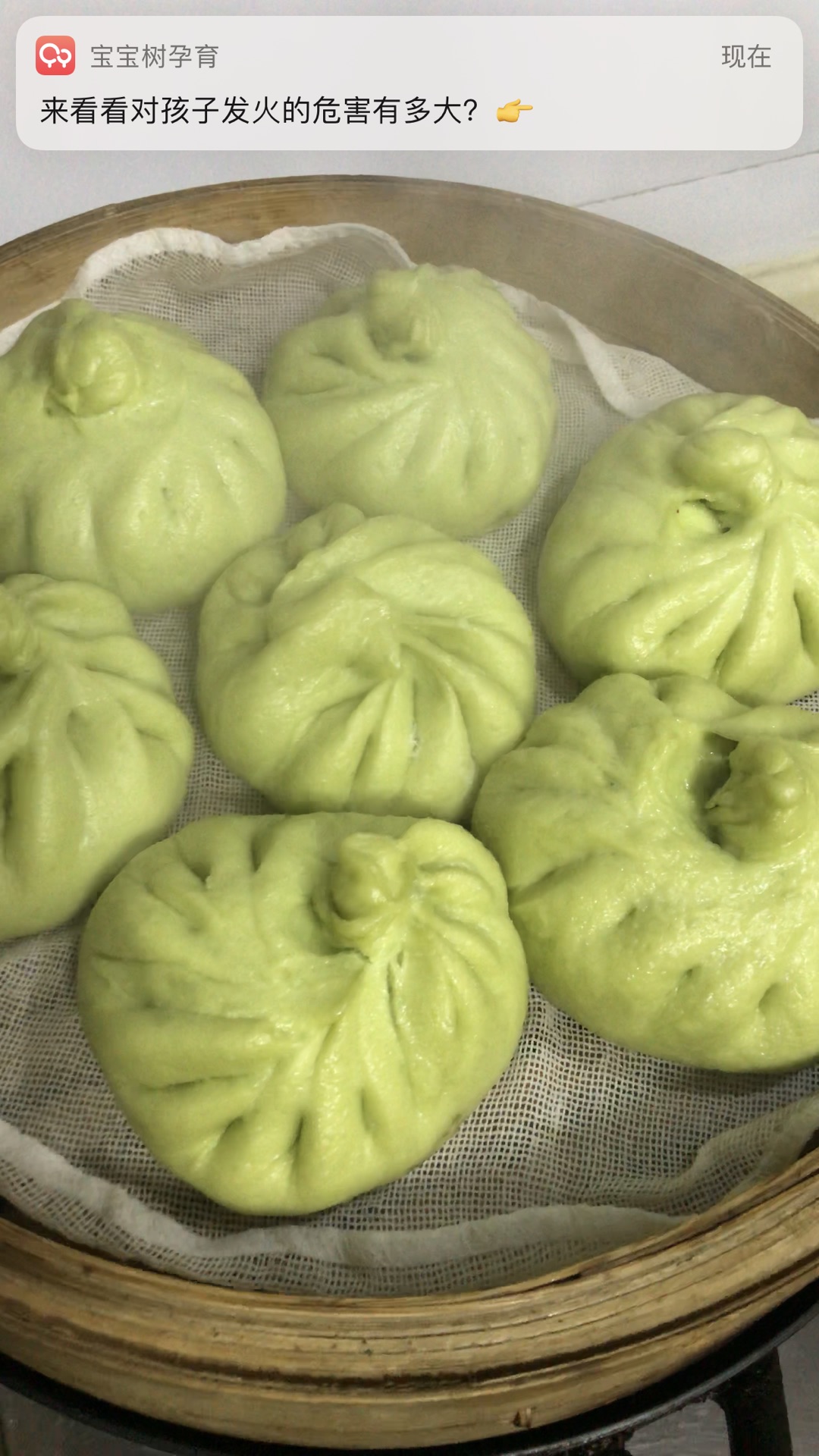 菠菜汁青椒豆腐馅包子