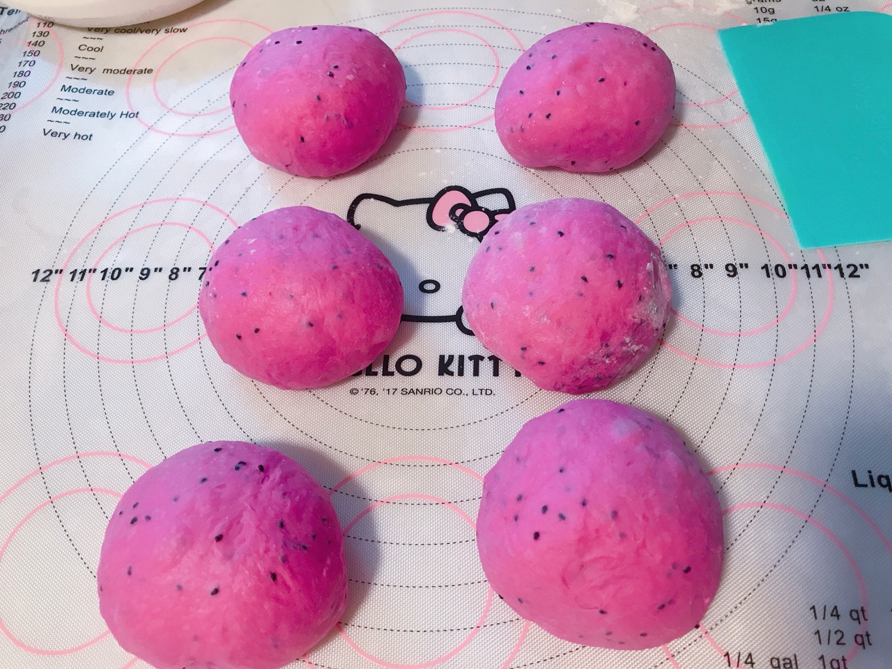 波兰种火龙果蔓越莓乳酪欧包