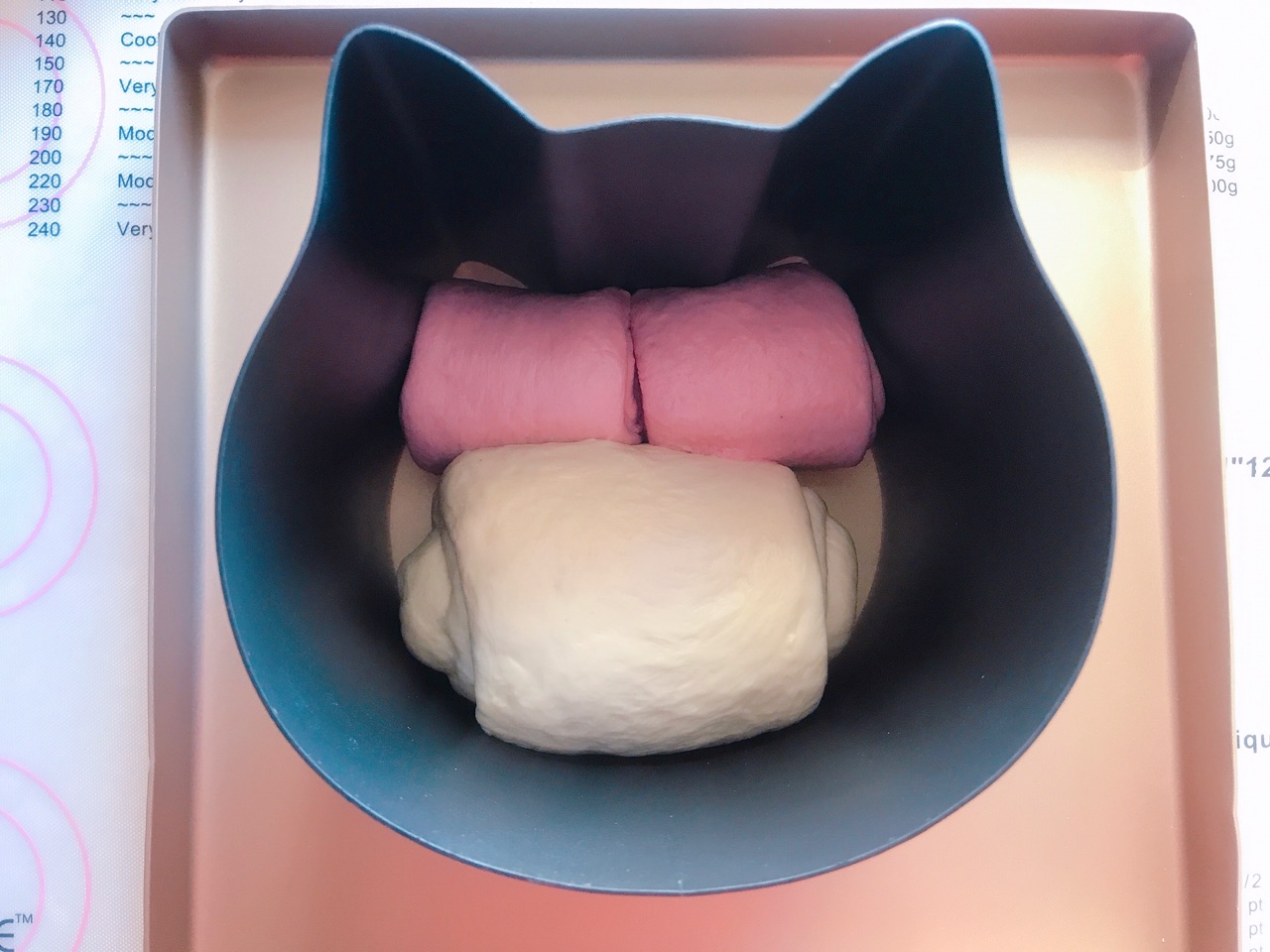 波兰种猫咪吐司