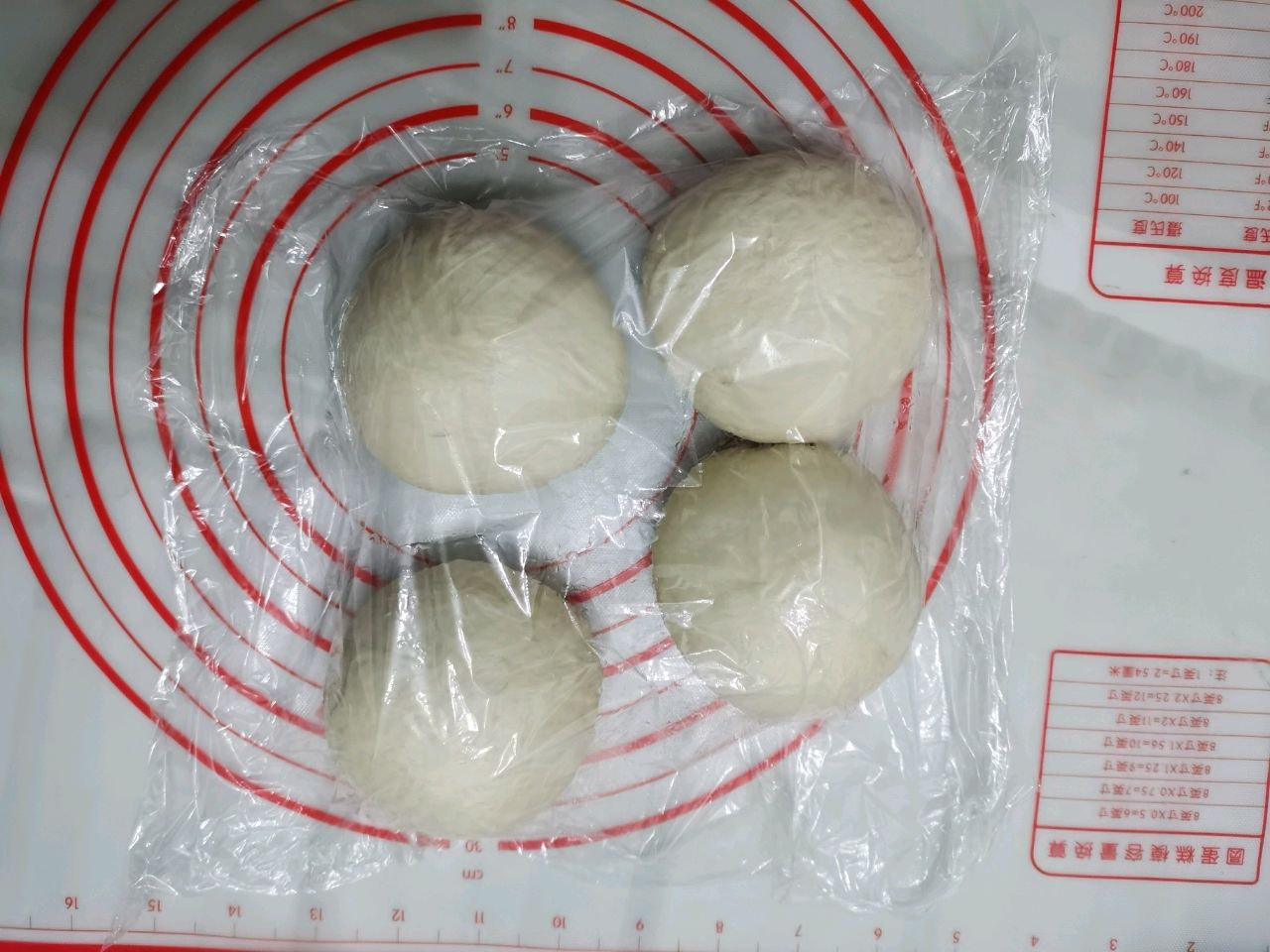 波兰种奶油软欧