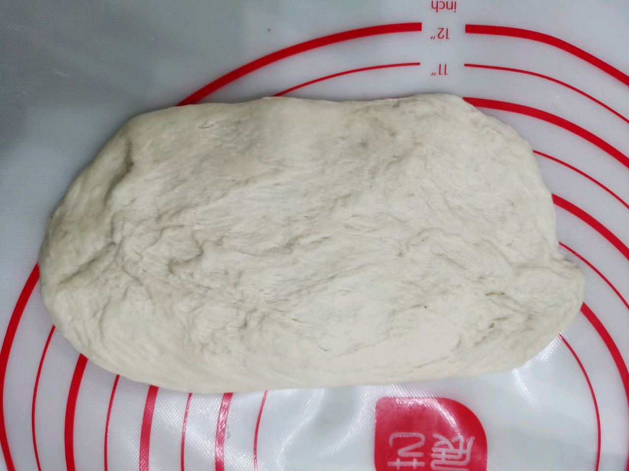 波兰种奶油软欧