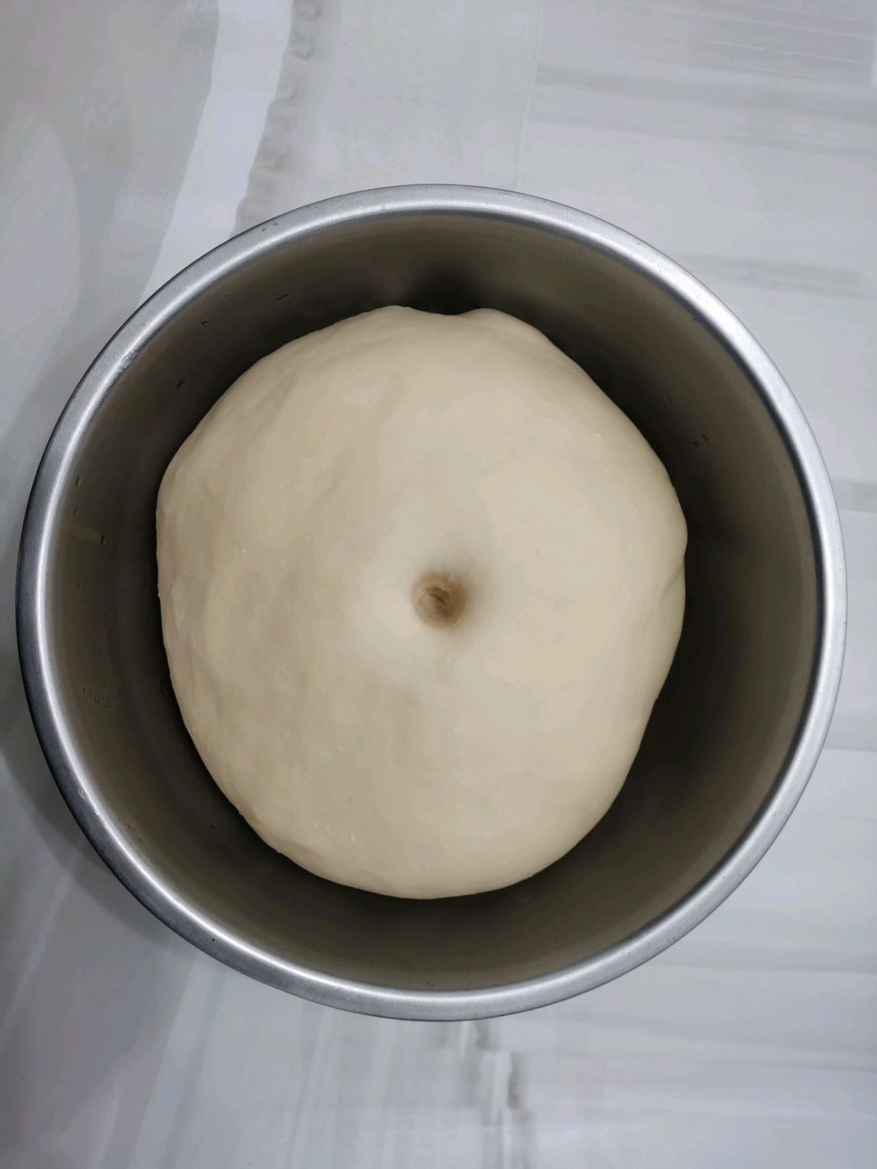 波兰种奶油软欧