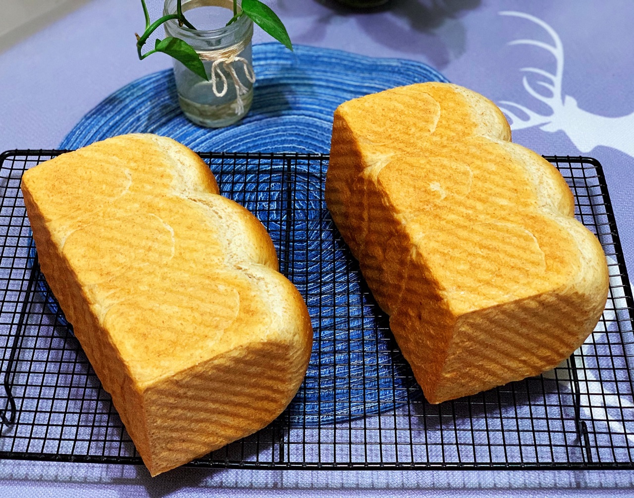 波兰种全麦吐司