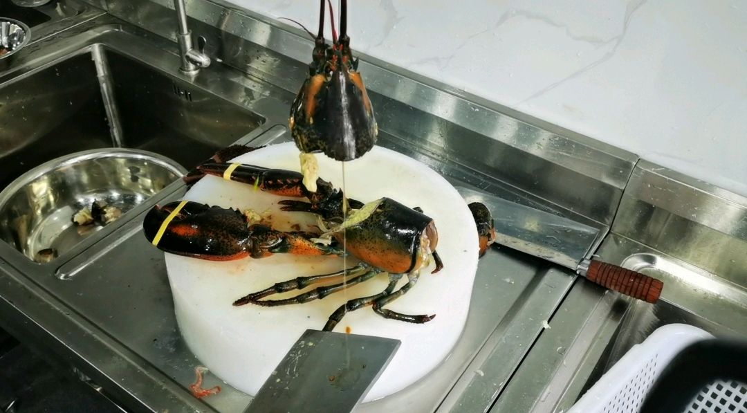 波士顿龙虾