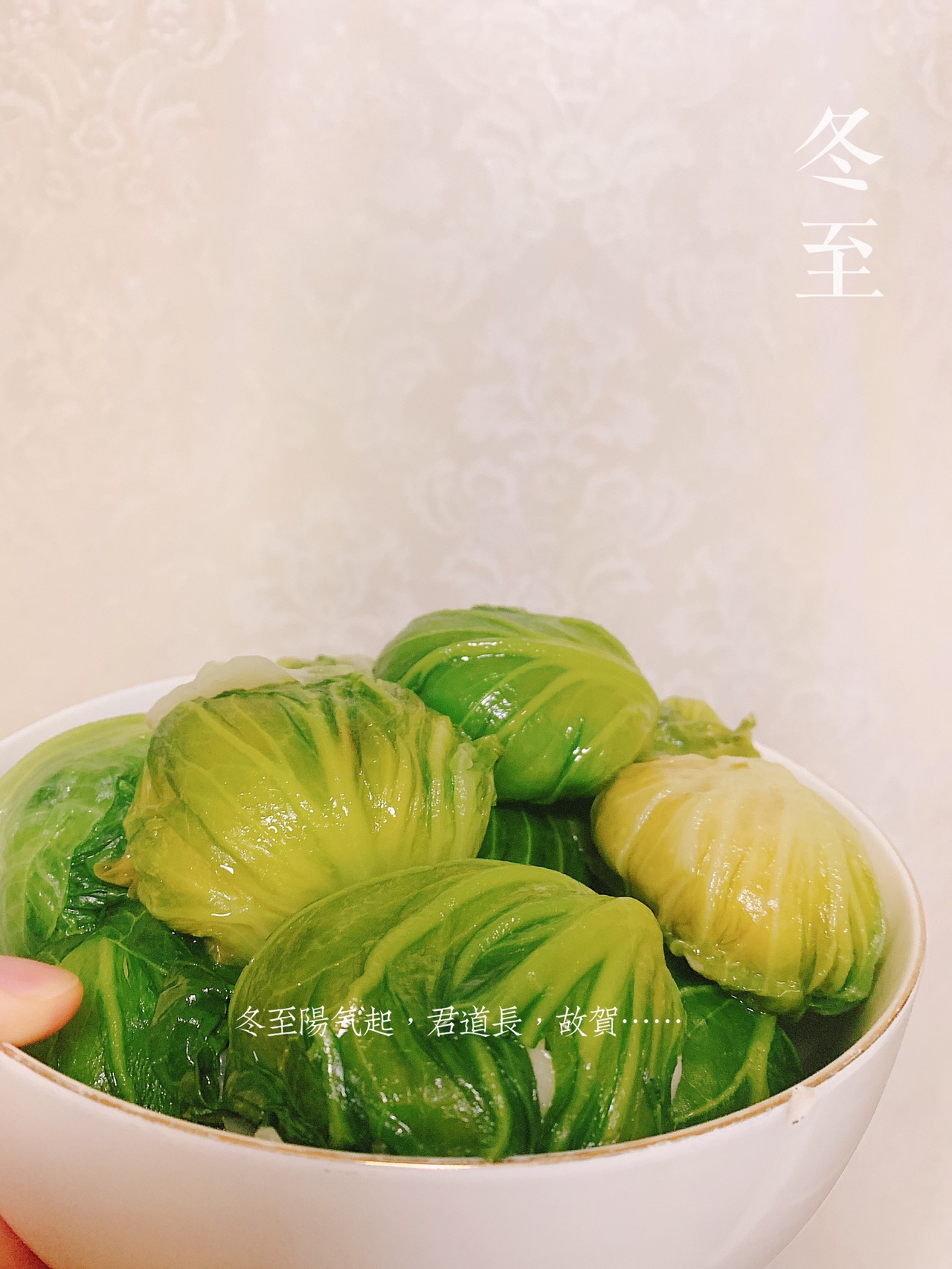 菜包籺