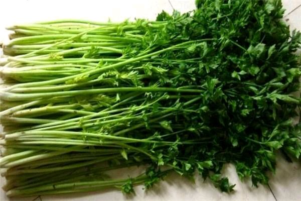 菜疙瘩