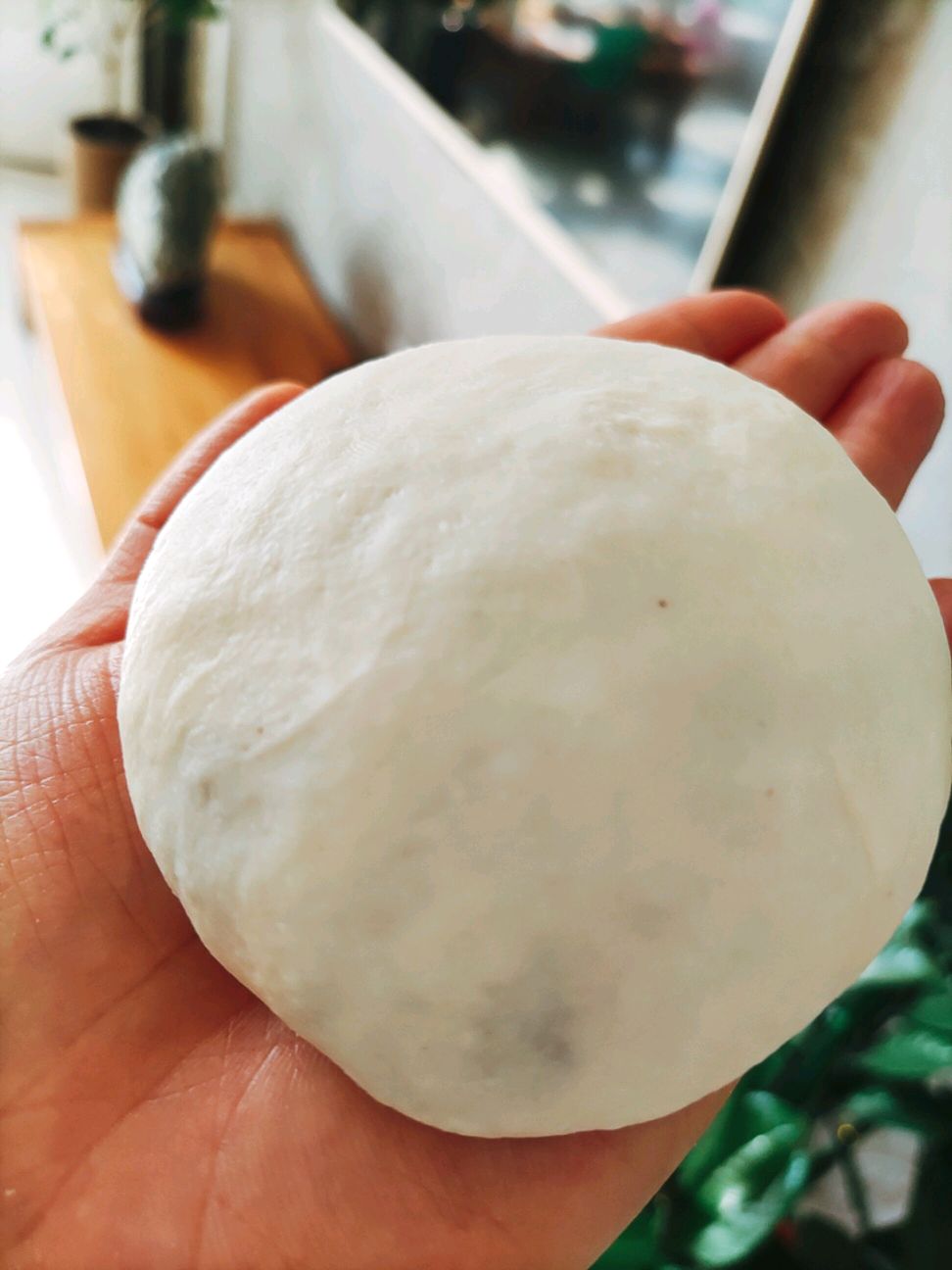 彩色素食饼