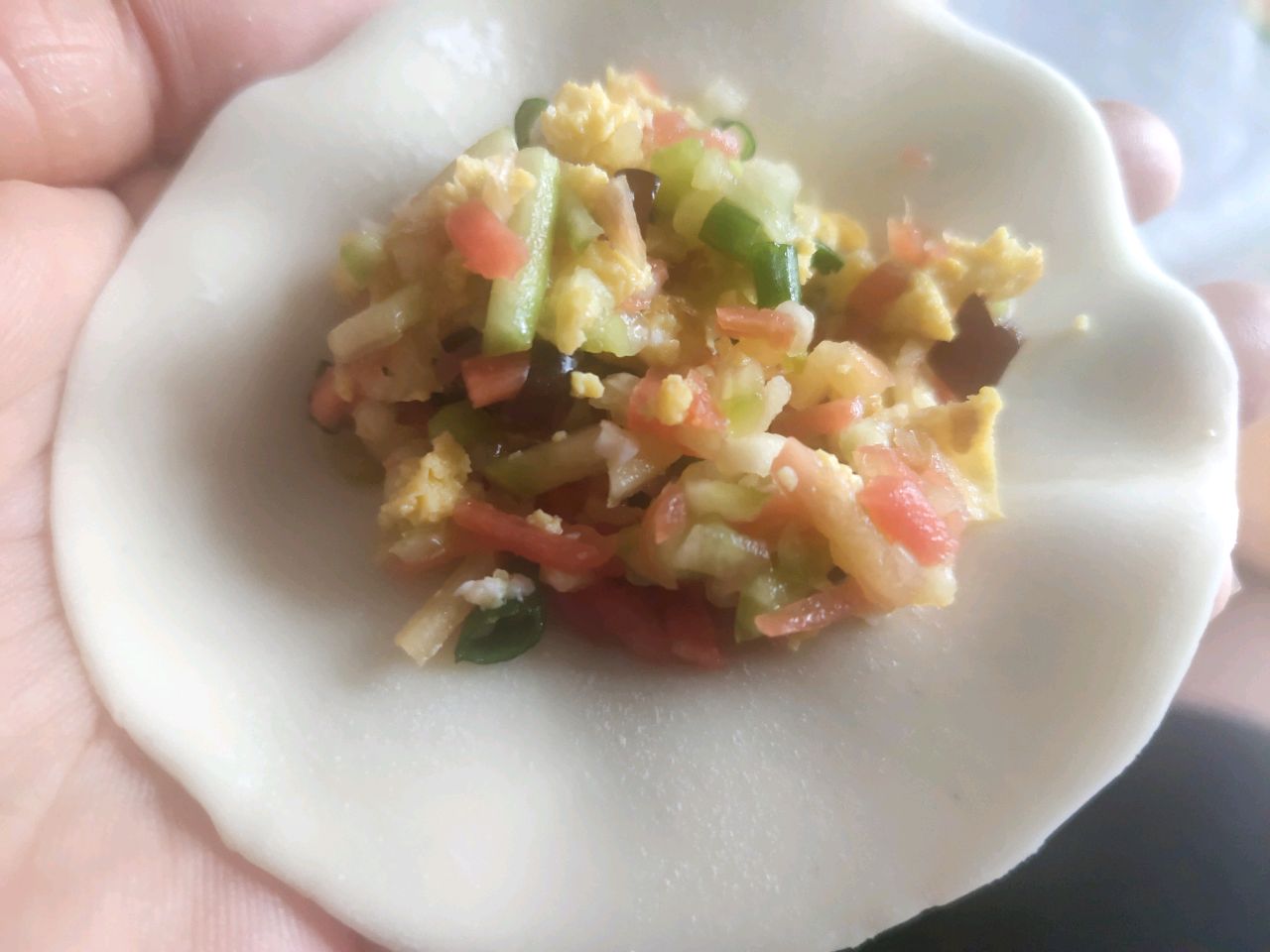 彩色馅饺子