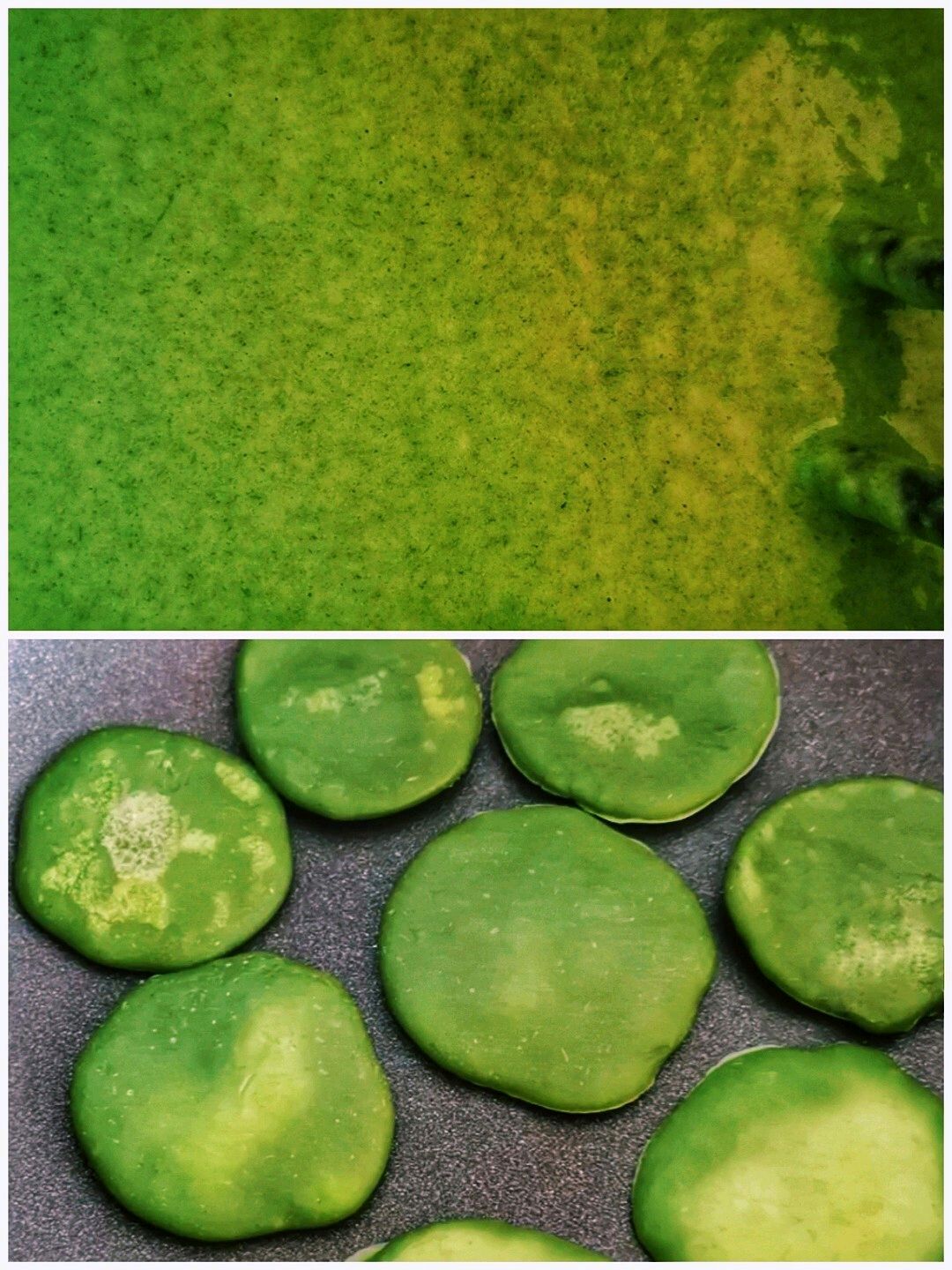 馋哭小孩的菠菜饼来了