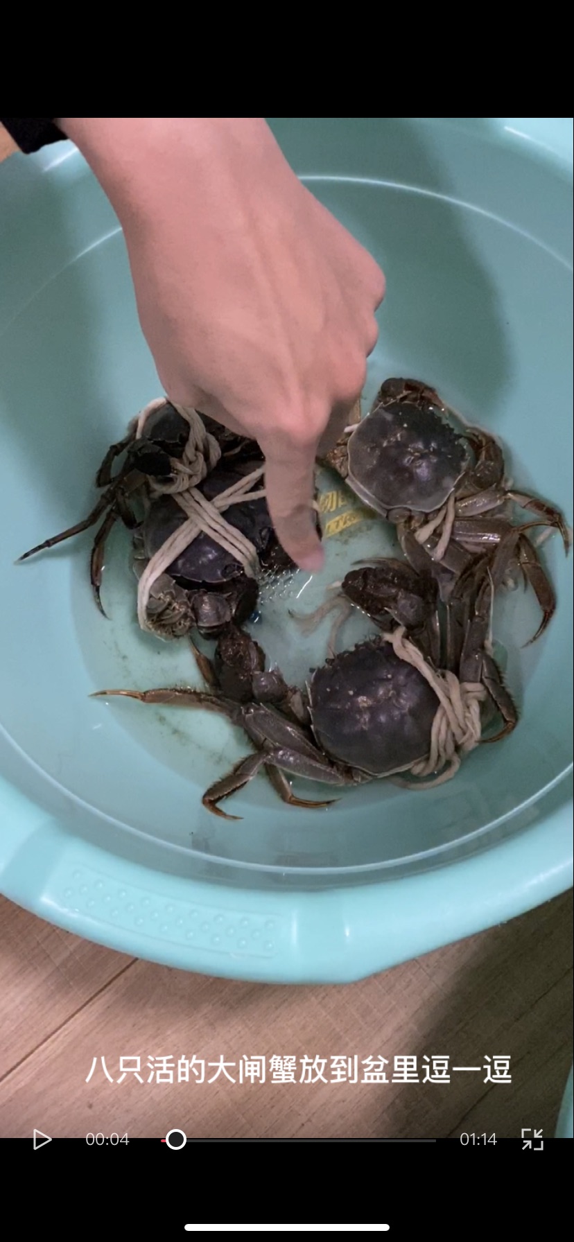 超级鲜美的清蒸大闸蟹