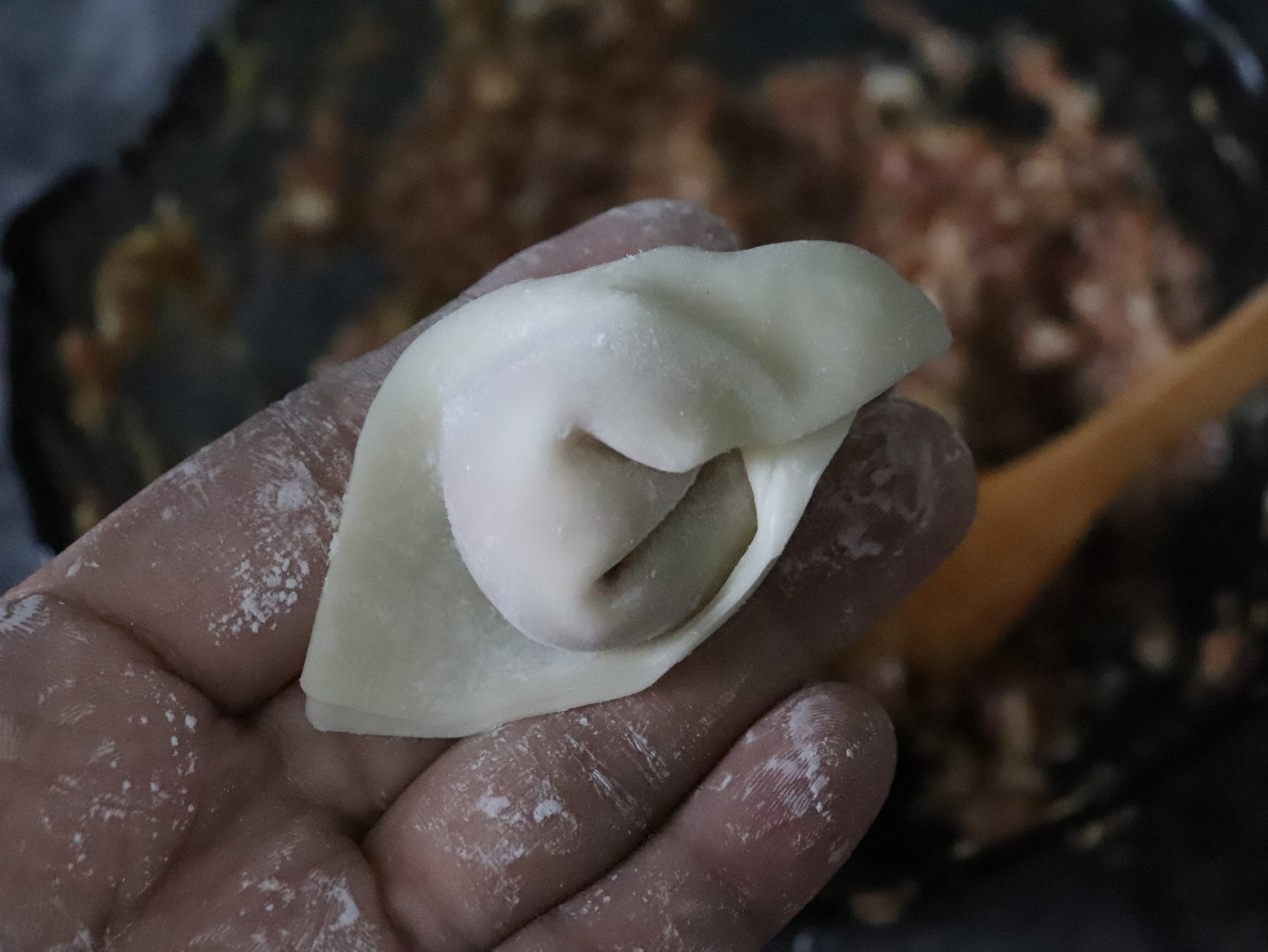 超级鲜美好吃的鲜肉馄饨