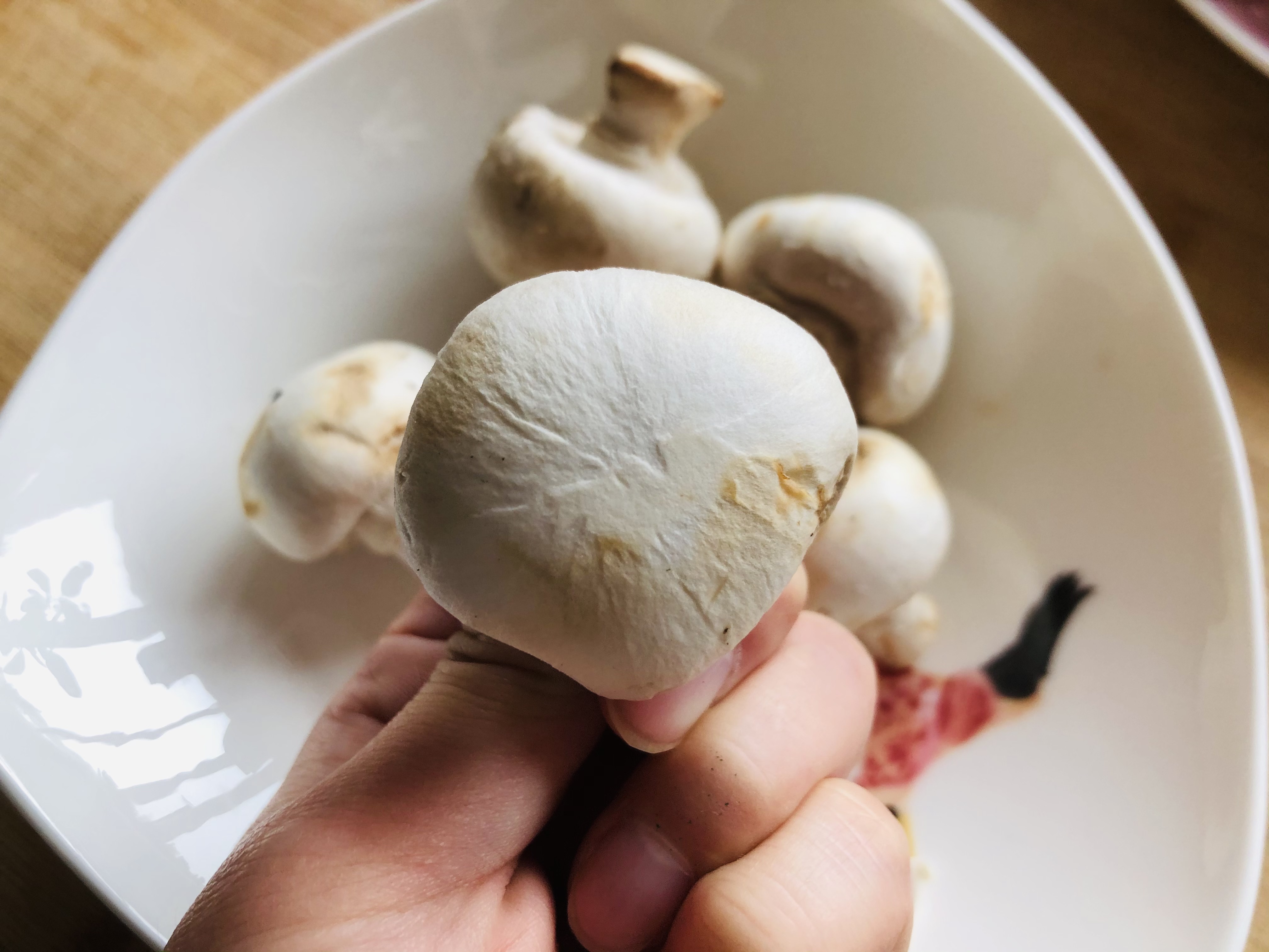 炒口蘑
