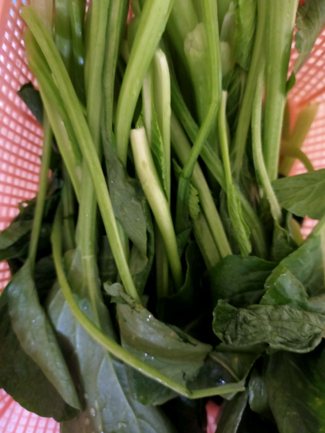 炒青菜