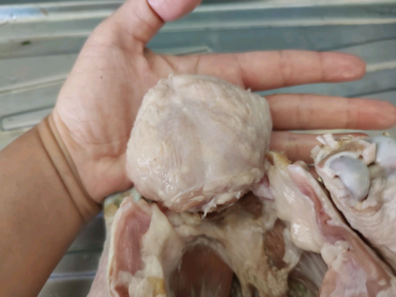迟到的香草烤火鸡