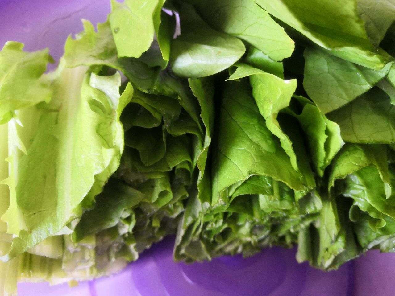 豉香油麦菜